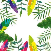 cadre de feuilles et de plumes naturelles tropicales vecteur