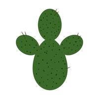 conception de vecteur de plante cactus isolé