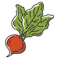 navets ou betteraves récolte de légumes d'automne, icône vectorielle linéaire dans le style doodle vecteur