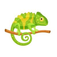 caméléon sur une branche. personnage drôle, animal africain. illustration vectorielle vecteur