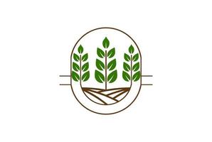 vintage plante feuille agriculture jardin nature logo design vecteur