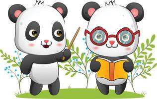 le couple de panda tient un livre pendant que le professeur donne la théorie vecteur