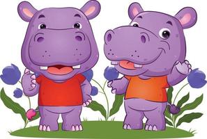 le couple d'hippopotame parle ensemble et fait des gestes vecteur
