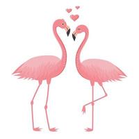 couple de flamants roses amoureux et coeurs. concept d'amour et de saint valentin. vecteur