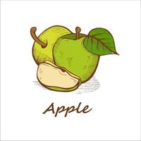 pommes, dessinés à la main. illustration vectorielle. vecteur