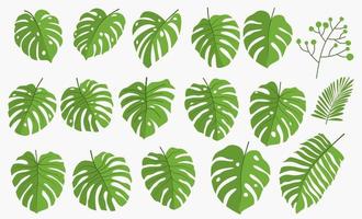 feuilles de la jungle tropicale, illustration vectorielle botanique, ensemble isolé sur fond blanc. vecteur