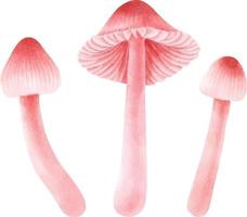 collection de style aquarelle illustration de champignon vecteur