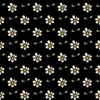 motif noir transparent avec des fleurs de camomille blanches. fond floral. fleurs blanches isolées sur fond noir vecteur