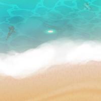 plage de sable réaliste avec de l'eau bleue. bord de l'océan. illustration vectorielle. vecteur