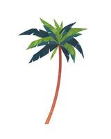 palmier de dessin animé avec des feuilles vertes isolés sur fond blanc. icône de plante tropicale de l'emplacement d'été exotique. illustration vectorielle plane. vecteur