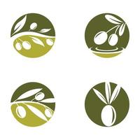 illustration d'images logo olive vecteur