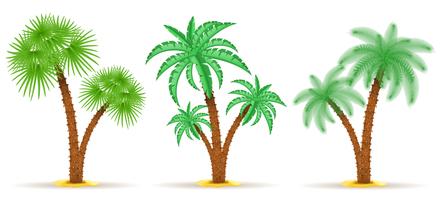 illustration vectorielle palmier vecteur