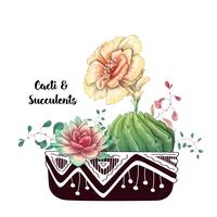 Carte avec ensemble de cactus et de plantes succulentes. Plantes du désert. vecteur