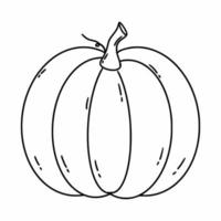 citrouille de dessin dans le style doodle. livre de coloriage avec des légumes pour les enfants. illustration vectorielle linéaire. vecteur