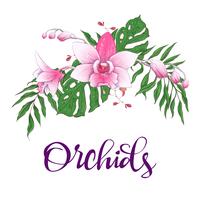Cadre de design floral. Orchidée, eucalyptus, verdure. Faire-part de mariage. vecteur