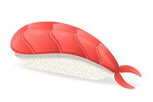 sushi avec illustration vectorielle de crevettes