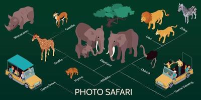 infographie isométrique safari photo vecteur