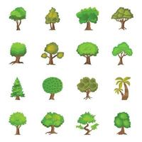 concepts d'arbres tropicaux vecteur
