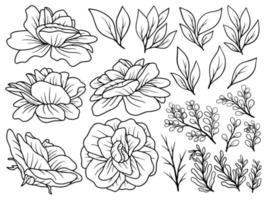 collection de dessins au trait de fleurs dessinés à la main vecteur
