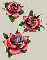 pack de roses 3 tatouages old school vecteur