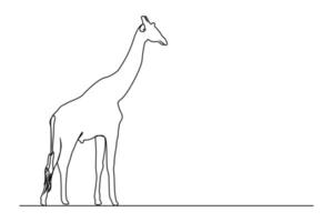 dessin continu d'une ligne. symbole de marche de girafe. logo de la girafe. illustration vectorielle vecteur