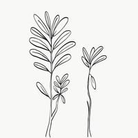 dessin au trait de feuilles botaniques. ligne de plantes abstraites modernes ou minimales. parfait pour la décoration intérieure comme les affiches. conception d'illustrations vectorielles vecteur