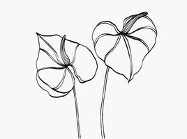 dessin au trait de fleur. abstrait moderne ou minimal. parfait pour la décoration intérieure comme les affiches. conception d'illustrations vectorielles vecteur