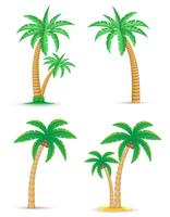 palmier tropical set icônes illustration vectorielle
