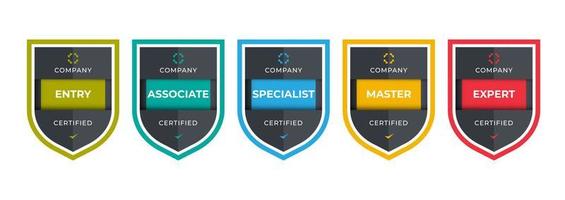création de logo d'insigne certifié pour l'insigne de formation d'entreprise. certificats à déterminer en fonction de critères. illustration vectorielle moderne colorée vérifiée standard. vecteur
