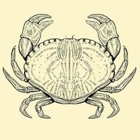 illustration de crabe dans le style de gravure vecteur