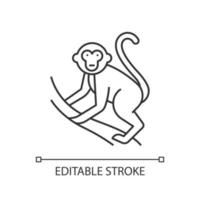 singe sur l'icône de lumière linéaire de liane. animal de pays tropical. explorer la faune indonésienne. l'escalade des primates. illustration de la ligne mince. symbole de contour. dessin de contour isolé de vecteur. trait modifiable vecteur