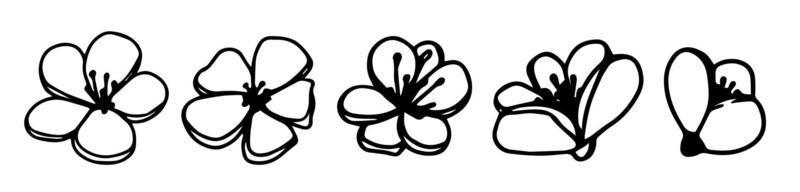 Vector set silhouettes de cinq fleurs de magnolia rose dessinés à la main isolés sur fond blanc. illustration vectorielle. fleurs de printemps doodle, illustrations
