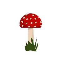 champignons amanites à chapeaux rouges et taches blanches. vecteur