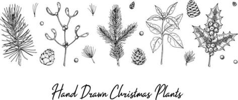 ensemble de plantes de Noël dessinées à la main isolées sur fond blanc. éléments de décoration de Noël. illustration vectorielle dans le style de croquis vecteur