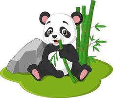 Adorable bébé panda assis en train de manger des tiges de bambou vecteur