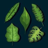 jeu d'icônes de feuilles vecteur