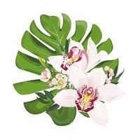 bouquet de fleurs tropicales. feuilles de monstera avec des fleurs d'orchidée cymbidium roses. floristique pour les mariages. illustration de stock de vecteur isolé sur fond blanc.