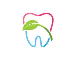 contour des dents saines avec une feuille de nature verte à l'intérieur vecteur