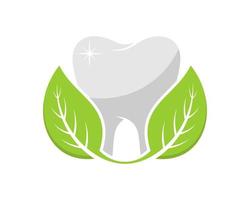 dents saines avec des feuilles vertes vecteur