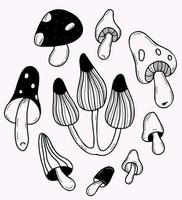 beaux champignons mystiques. ensemble isolé de champignons ésotériques de sorcellerie magique. illustration vectorielle noir et blanc dans un style doodle à la main vecteur