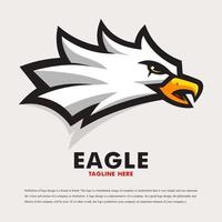 aigle sport mascotte logo design illustration vecteur