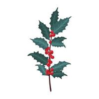 ensemble de baies de houx de noël, feuille verte, baies rouges, branches, brindilles. illustration vectorielle hiver isolée sur fond blanc pour les cartes de Noël et le design décoratif. vecteur