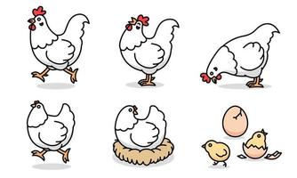 dessin animé, de, blanc, poulet, famille, vecteur