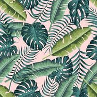 feuilles tropicales, jungle laisse fond de motifs floraux sans soudure vecteur