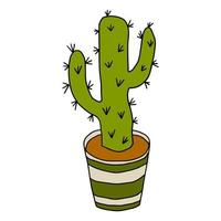 dessin animé doodle cactus dans le pot isolé sur fond blanc. vecteur