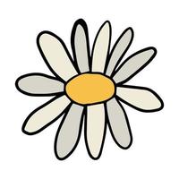 fleur de marguerite de dessin animé doodle fantaisie colorée isolée sur fond blanc. vecteur