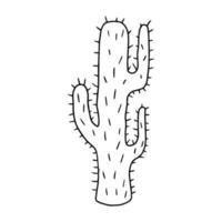dessin animé doodle cactus isolé sur fond blanc. élément floral de dessin animé mignon. vecteur