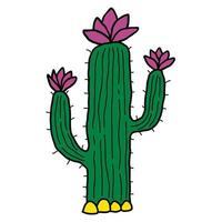 dessin animé mignon doodle cactus linéaire avec des fleurs dans le désert isolé sur fond blanc. vecteur