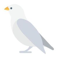 concepts de pigeon à la mode vecteur