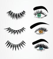 Faux cils Styles Pack Vector